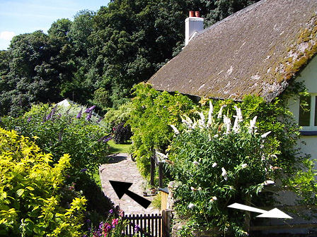 House from above